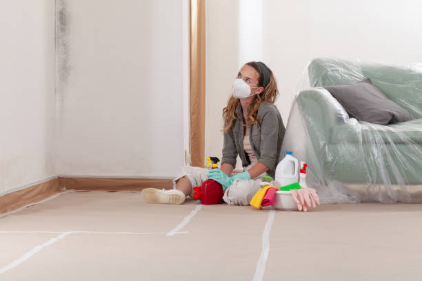 Reliable Mold Remediation contractor in Oregon City, OR by WQB Mold Removal